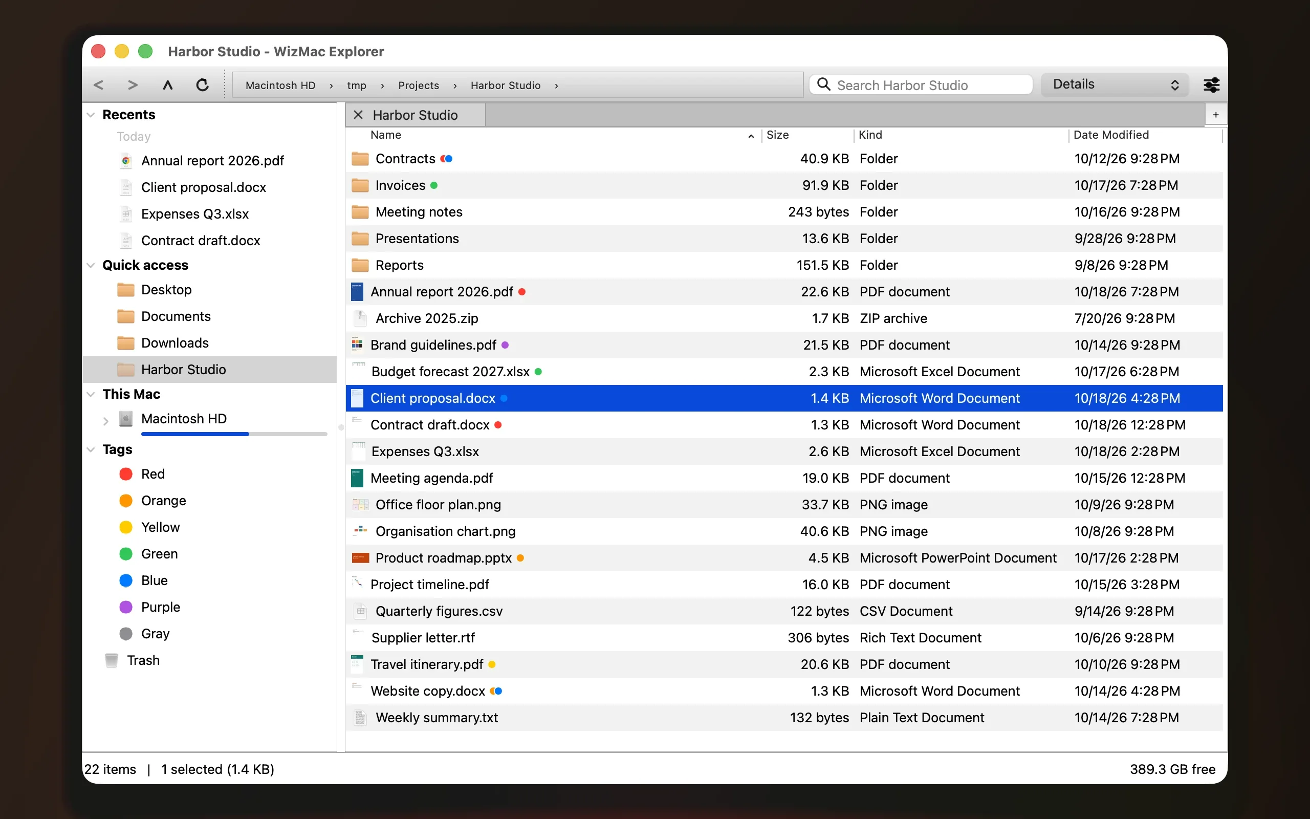 WizMac Explorer en vue Détails : un dossier de documents avec leurs tailles, types et dates, des tags du Finder de couleur après certains noms, et un panneau de gauche avec Récents, Accès rapide, le disque et les tags.