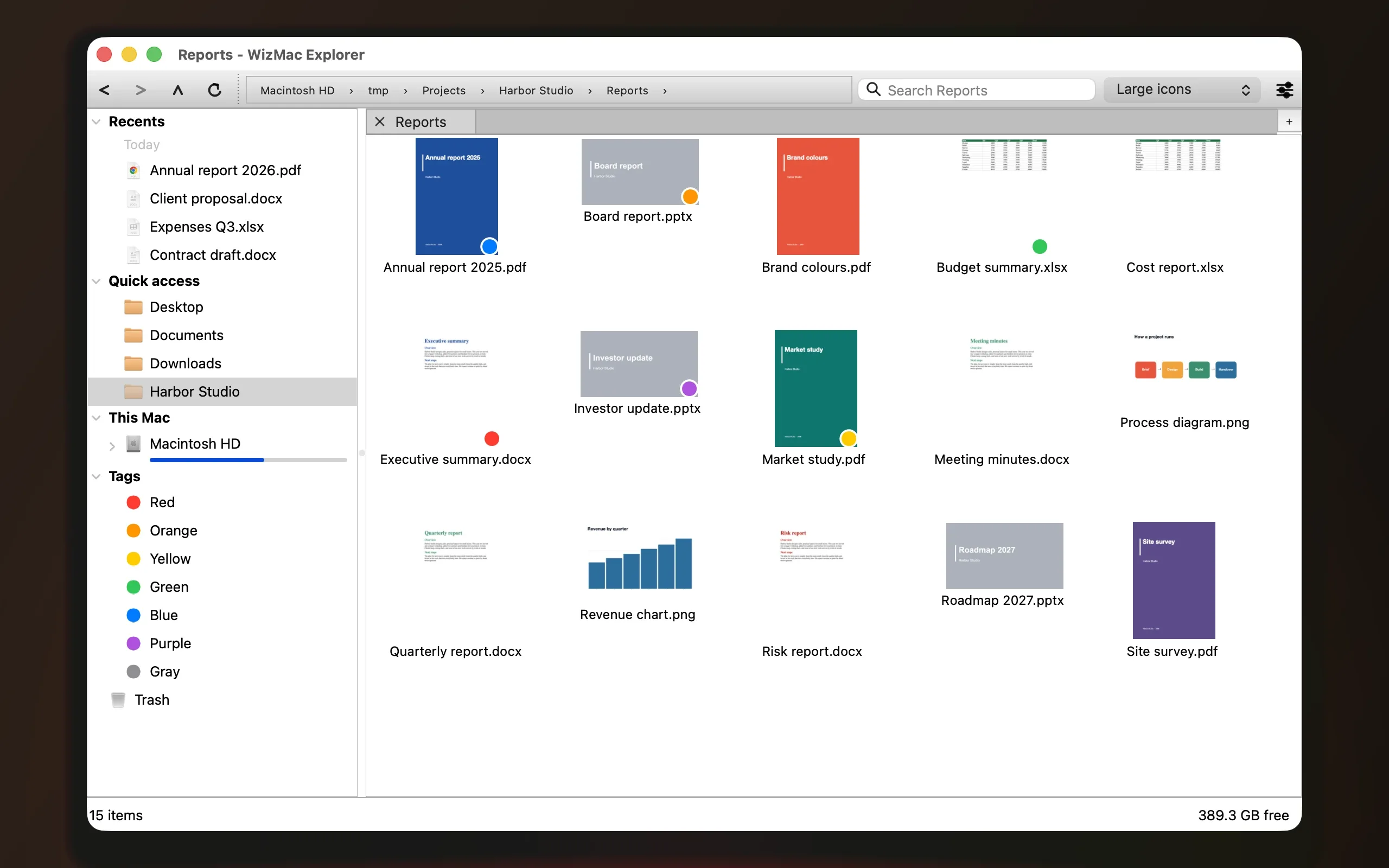 Un dossier en grandes icônes : aperçus de rapports PDF aux couvertures colorées, de documents Word et Excel, de diapositives PowerPoint et de deux images.